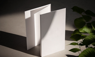 Sapthagiri Printers, Hassan